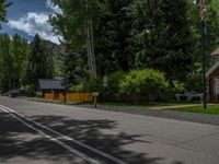 an empty street lined with trees and a mountain range in the distance in the back