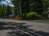 an empty street lined with trees and a mountain range in the distance in the back