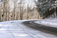 Asphalt Forest Road on a Sunny Day in Nature