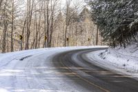 Asphalt Forest Road on a Sunny Day in Nature