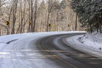 Asphalt Forest Road on a Sunny Day in Nature