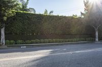 Asphalt Lane in Los Angeles Property