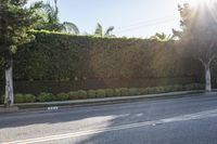 Asphalt Lane in Los Angeles Property