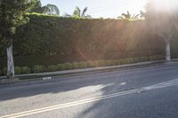 Asphalt Lane in Los Angeles Property
