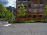 street corner with tree on the corner of the corner and a building behind it that is surrounded by multiple windows and a perforated brown lattice