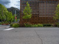 street corner with tree on the corner of the corner and a building behind it that is surrounded by multiple windows and a perforated brown lattice