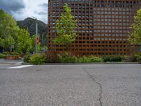 street corner with tree on the corner of the corner and a building behind it that is surrounded by multiple windows and a perforated brown lattice