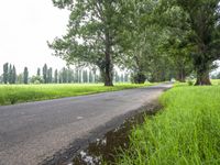 the asphalt road is next to a field with water puddles in it, and trees line the side of the street,