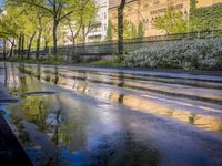 a wet street with green trees and the sky reflecting in it's puddles