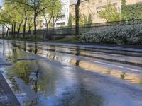 a wet street with green trees and the sky reflecting in it's puddles