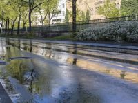 a wet street with green trees and the sky reflecting in it's puddles