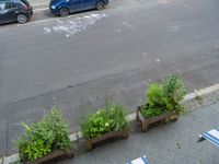 Asphalt Road in Berlin, Germany: A City View