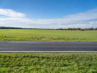 Asphalt Road in Berlin: Nature and Grass