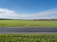 Asphalt Road in Berlin: Nature and Grass