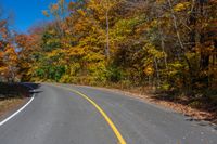 a curved road in the fall with trees turning yellow and green in the background to show their colors