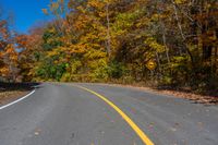 a curved road in the fall with trees turning yellow and green in the background to show their colors