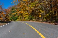 a curved road in the fall with trees turning yellow and green in the background to show their colors