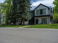 a road and trees line a residential street in a residential area in a neighborhood with no parking