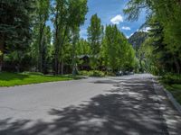 an empty street lined with trees and a mountain range in the distance in the back