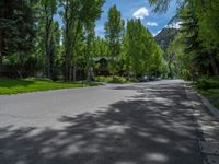 an empty street lined with trees and a mountain range in the distance in the back