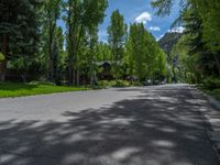 an empty street lined with trees and a mountain range in the distance in the back