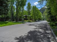 an empty street lined with trees and a mountain range in the distance in the back