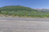 Asphalt Road in Colorado Highland Surrounded by Vegetation