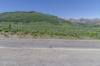 Asphalt Road in Colorado Highland Surrounded by Vegetation