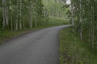 Asphalt Road in Colorado: Exploring the Mountain Landscape