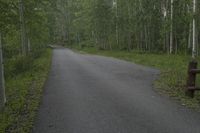 Asphalt Road in Colorado: Exploring the Mountain Landscape