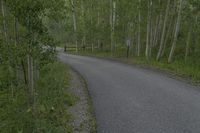 Asphalt Road in Colorado: Exploring the Mountain Landscape