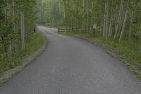 Asphalt Road in Colorado: Enjoy the Scenic Mountain Views