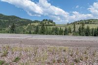 an asphalt road in the country, surrounded by mountains and pines, stretches over the field