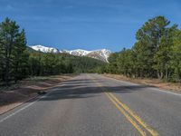 an empty road with lots of trees in the background in the wild region of colorado