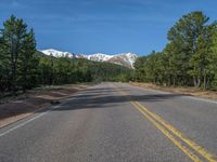 an empty road with lots of trees in the background in the wild region of colorado