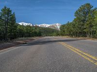 an empty road with lots of trees in the background in the wild region of colorado