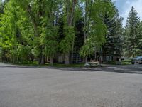 an empty street lined with trees and a mountain range in the distance in the back