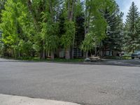 an empty street lined with trees and a mountain range in the distance in the back