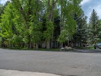 an empty street lined with trees and a mountain range in the distance in the back