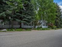 an empty street lined with trees and a mountain range in the distance in the back