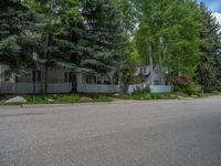 an empty street lined with trees and a mountain range in the distance in the back