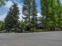 a road and trees line a residential street in a residential area in a neighborhood with no parking