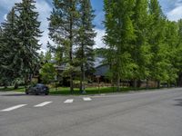 a road and trees line a residential street in a residential area in a neighborhood with no parking