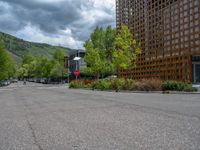 street corner with tree on the corner of the corner and a building behind it that is surrounded by multiple windows and a perforated brown lattice