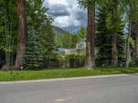 a road and trees line a residential street in a residential area in a neighborhood with no parking