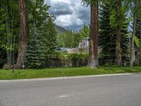 a road and trees line a residential street in a residential area in a neighborhood with no parking