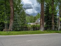 a road and trees line a residential street in a residential area in a neighborhood with no parking