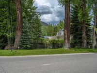 a road and trees line a residential street in a residential area in a neighborhood with no parking