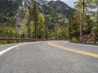 the curved road curves in front of a mountain area with pine trees behind it,