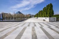 Asphalt Road and Concrete: Reflections on the Water